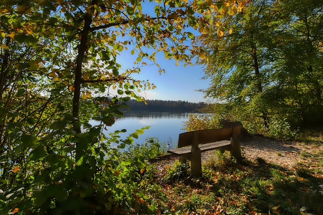 葡超第20輪葡萄牙體育1-2波爾圖 22／23賽季三殺葡萄牙體育 波爾圖9連勝緊咬本菲卡！.